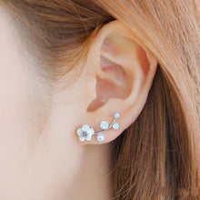 Load image into Gallery viewer, Hot Crystal Flower Stud Earrings for Women Fashion Jewelry Gold Silver Rhinestones Earrings Gift for Party and Best Friend